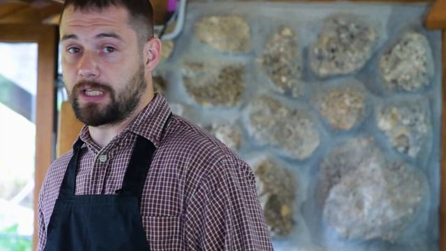 Как жарить камбалу, ставриду и барабулю.  Как жарить рыбу.