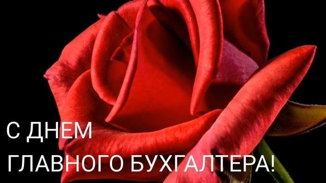 С ДНЁМ ГЛАВНОГО БУХГАЛТЕРА! Самое красивое поздравление на день главного бухгалтера!