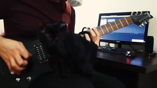 🎵 Jinjer - Perennial [Guitar Cover] смотреть онлайн