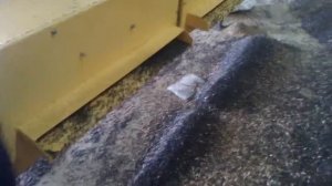 Сепаратор НИВА - 100 в работе