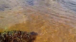 рыбалка на севере новый уренгой