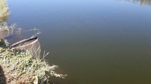 УДАРНАЯ РЫБАЛКА ТОЛЬКО ТРОФЕЙ. РЫБАЛКА В УЗБЕКИСТАНЕ 2022