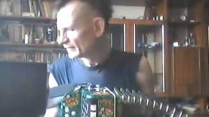 ой ты тайга моя густая гармонь