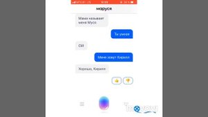 Обзор голосового помощника Маруся