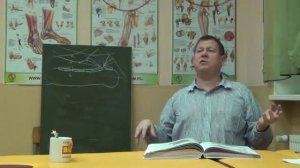 Анатомия для массажистов. Занятие 1. Лимфосистема.