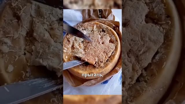 Самый опасный сыр в мире смотреть онлайн