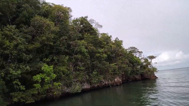 ДОМИНИКАНА СМАРТФОН MOTOROLA EDGE X30 ТЕСТ КАМЕРЫ Пунта Кана ГОРА РЕДОНДА ОСТРОВ БАКАРДИ МАДРОВЫЕ смотреть онлайн