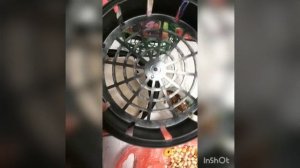 Посадка деток гладиолусов. Как вырастить быстро большую луковицу из детки гладиолусов за один сезон