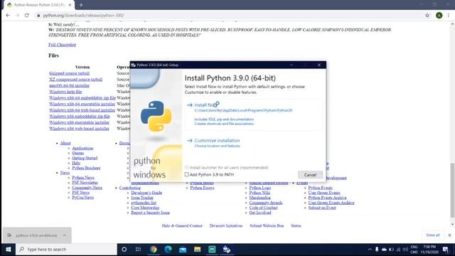 How to install Python on Windows