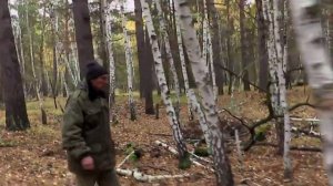 Охота на косулю в Курганской области