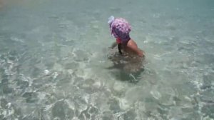 клип Египет