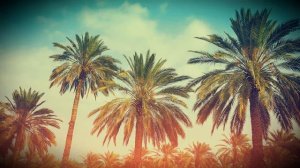 Музыка для монтажа видео. Музыка для роликов. Музыка для видео на Youtube.