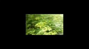 сборник всех  падений из ЗАБРОШЕК !