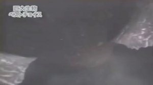 ТОП 5  ВЫМЕРШИХ ЖИВОТНЫХ СНЯТЫХ НА КАМЕРУ