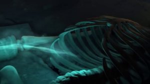 Diablo 3 Necromancer Trailer