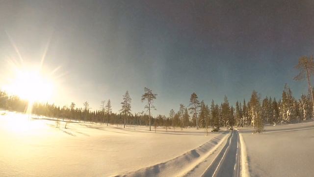 Прокат. смотреть онлайн