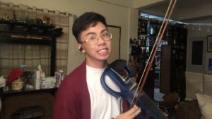 Taylor Swift - Cardigan Violin Cover.