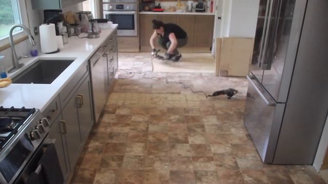 How to demo a floor Part 1: Linoleum/Vinyl смотреть онлайн