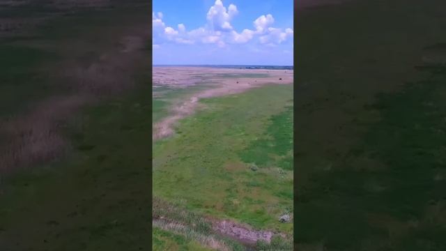 Квадрокоптер упал. Фулл на канале #рыбачим #гибрид #маныч #лиман #рыбак #удочка #рыбалка #клев смотреть онлайн