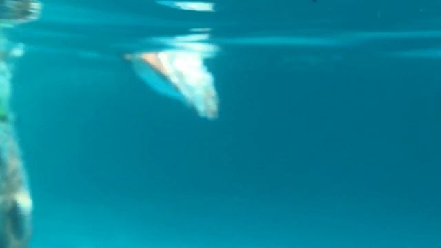 GOLDEN SUNRISE с. Лермонтво смотреть онлайн