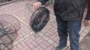 Ятеря (раколовки)