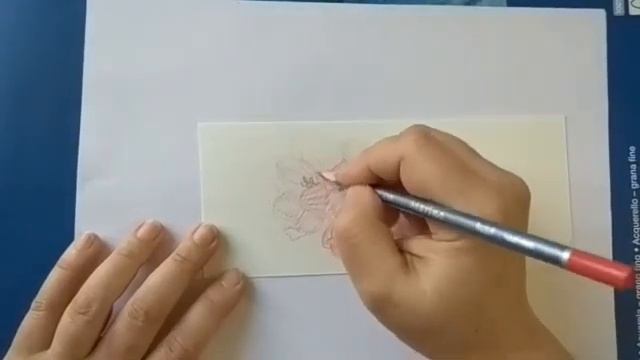 Акварельные карандаши смотреть онлайн