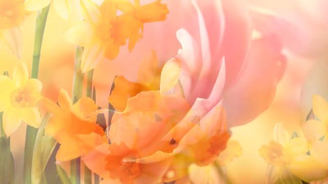 Поздравление к 8 марта смотреть онлайн