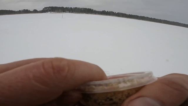 РЫБАЛКА l РЫБИНСКОЕ ВОДОХРАНИЛИЩЕ l ОКУНИ смотреть онлайн