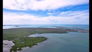 ОЗЕРО ЧАНЫ ЗАПАДНАЯ СИБИРЬ