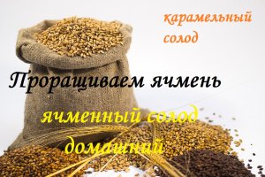 Готовим ячменный солод.mp4