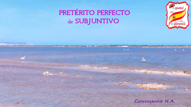 112. Pretérito Perfecto de Subjuntivo + упражнение с ответами. Уровень В1-В2.