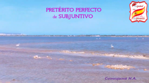 112. Pretérito Perfecto de Subjuntivo + упражнение с ответами. Уровень В1-В2.