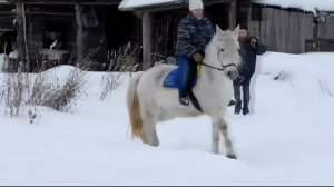 КОНИкулы?Лошади?/Мещёрская сказка 2017.