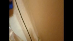 Аквариум цихлазомы чернопослосый архоцентр