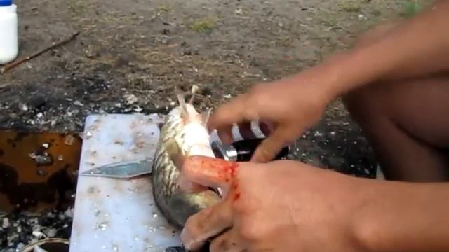 Ловим и коптим карася. Остров "Кривая сосна" 2016 г. смотреть онлайн