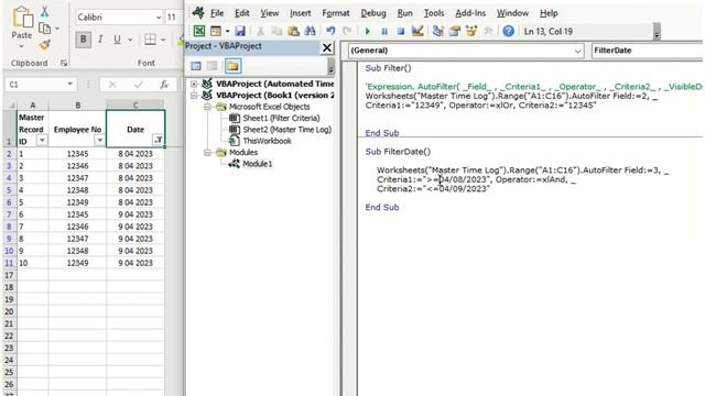 Excel VBA Filter Data - Automated Employee Payslip