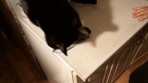 15 ноября 2023. Распаковка покупок с Азона.