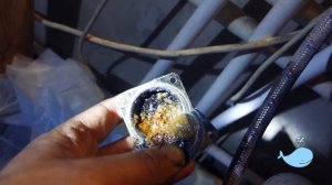 Почему ломаются реле давления и как самостоятельно решить проблему