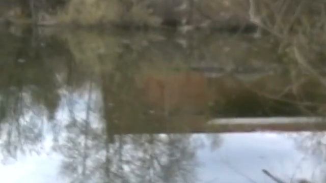 Загадочный пруд смотреть онлайн