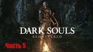 Dark Souls Remastered. Прохождение, Часть 5. Сад Тёмных Корней.