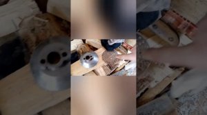 снимаем поддон юмз 6 , ревизия маслонасоса и привода маслонасоса