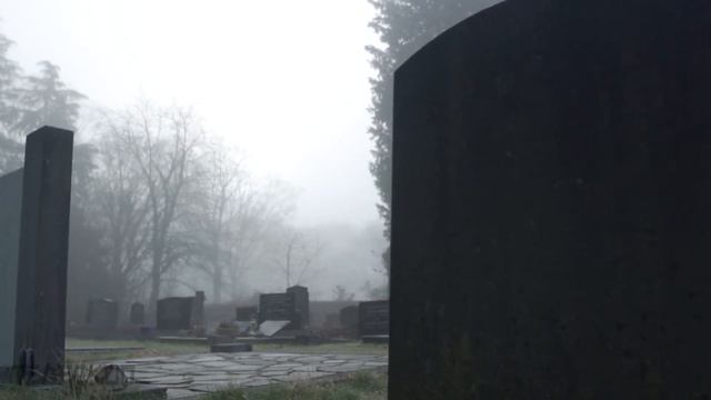 Ну, как я её брошу? Моя приемная дочь медвежонок. Дедушка Талабшо и его медведица Мария! смотреть онлайн