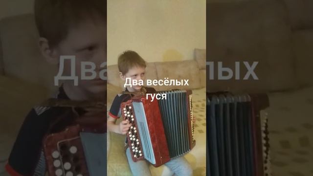 Весёлые гуси на баяне