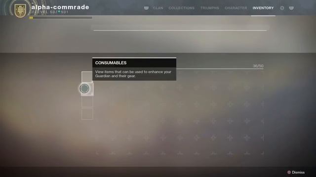 Destiny 2 Forsaken : Secret Cat Cave With Loot & Where To Find It смотреть онлайн