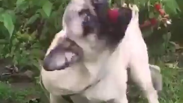 Ты - не ты, когда голоден! смотреть онлайн