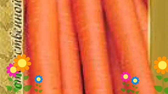 Морковь Нантская 4 (Nantskaya 4). Краткий обзор, описание характеристик, где купить семена смотреть онлайн