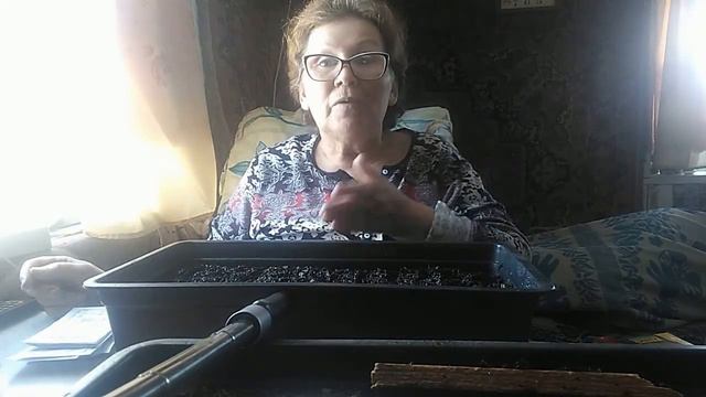 СЕЮ, СЕЮ, ПОСЕВАЮ.