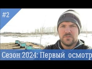 Весенняя ревизия пчелосемей! Чистим и сокращаем