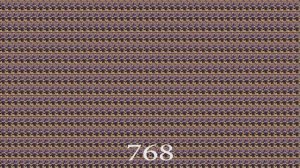 Carson St.  Denis Eevee Z-Dance 4,194,304 Times