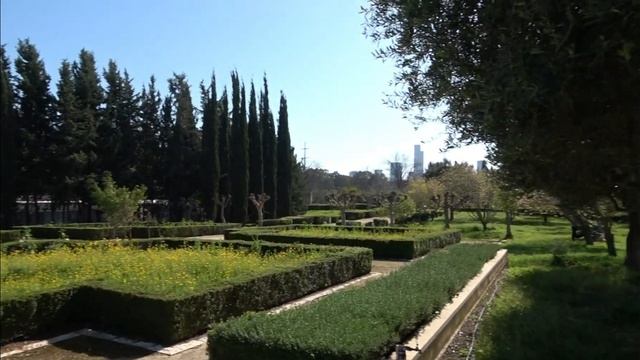 Парк Яркон /Сад кактусов /Сад камней /Подстриженный сад /Park Yarkon. Tel Aviv. Часть 2 смотреть онлайн